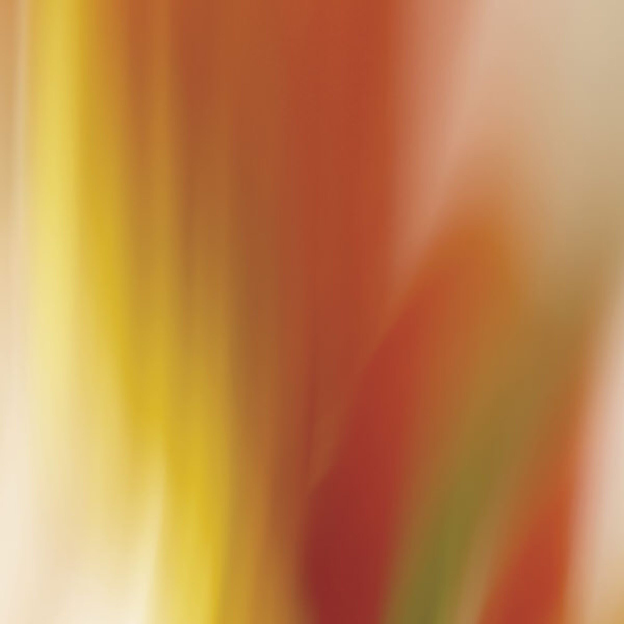 L Eau Revee d Isa Apa de Toaleta