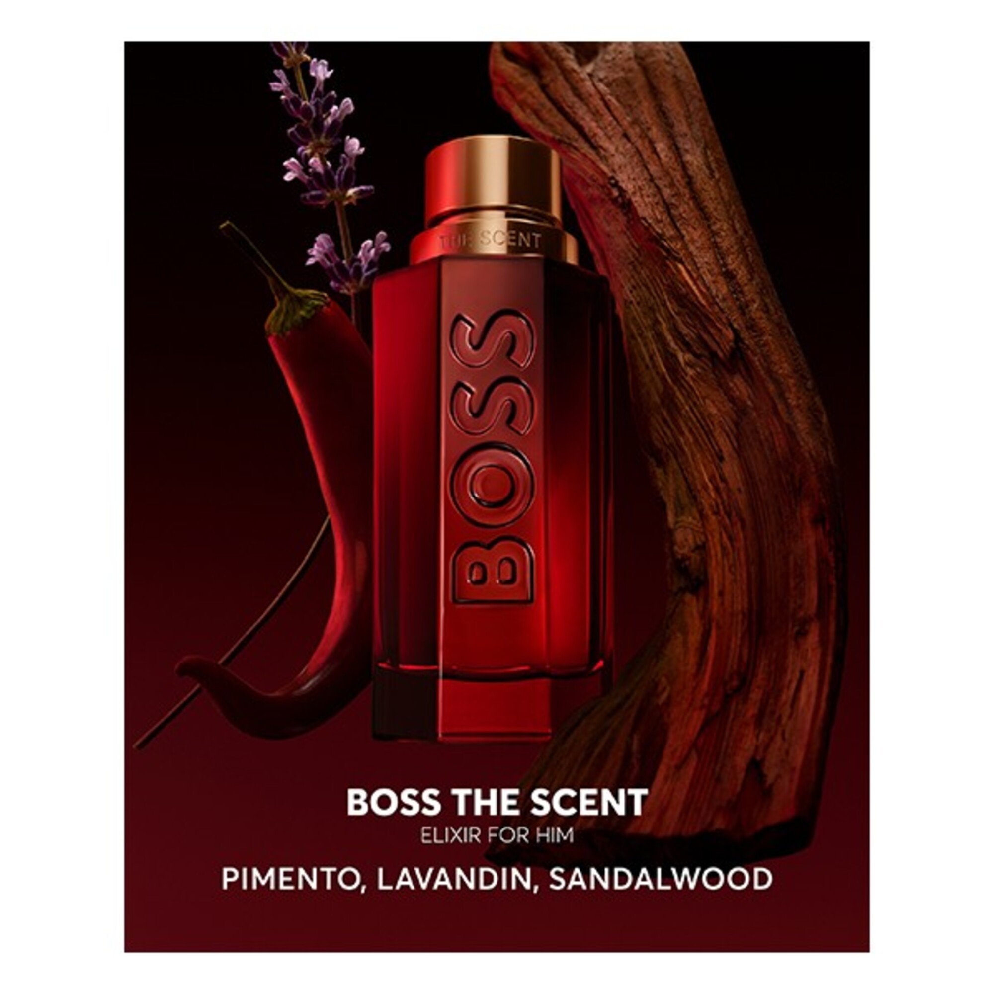 Boss The Scent Elixir for Him Parfum