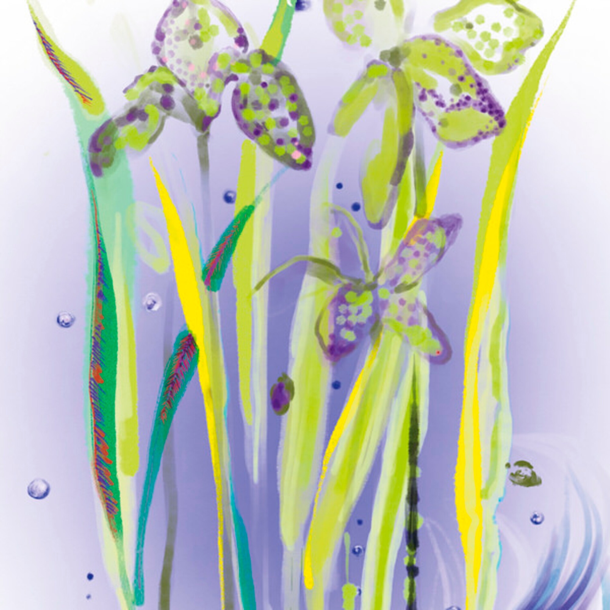 L Eau Revee d Alma Apa de Toaleta