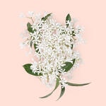 30 ML Gucci BLOOM Gucci Bloom Intense Apa de Parfum 5 of 6 Gucci Bloom Intense Apa de Parfum