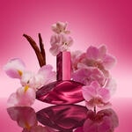 50 ML Calvin Klein EUPHORIA euphoria magnetic elixir Parfum Intense for Women  4 of 8 euphoria magnetic elixir Parfum Intense for Women