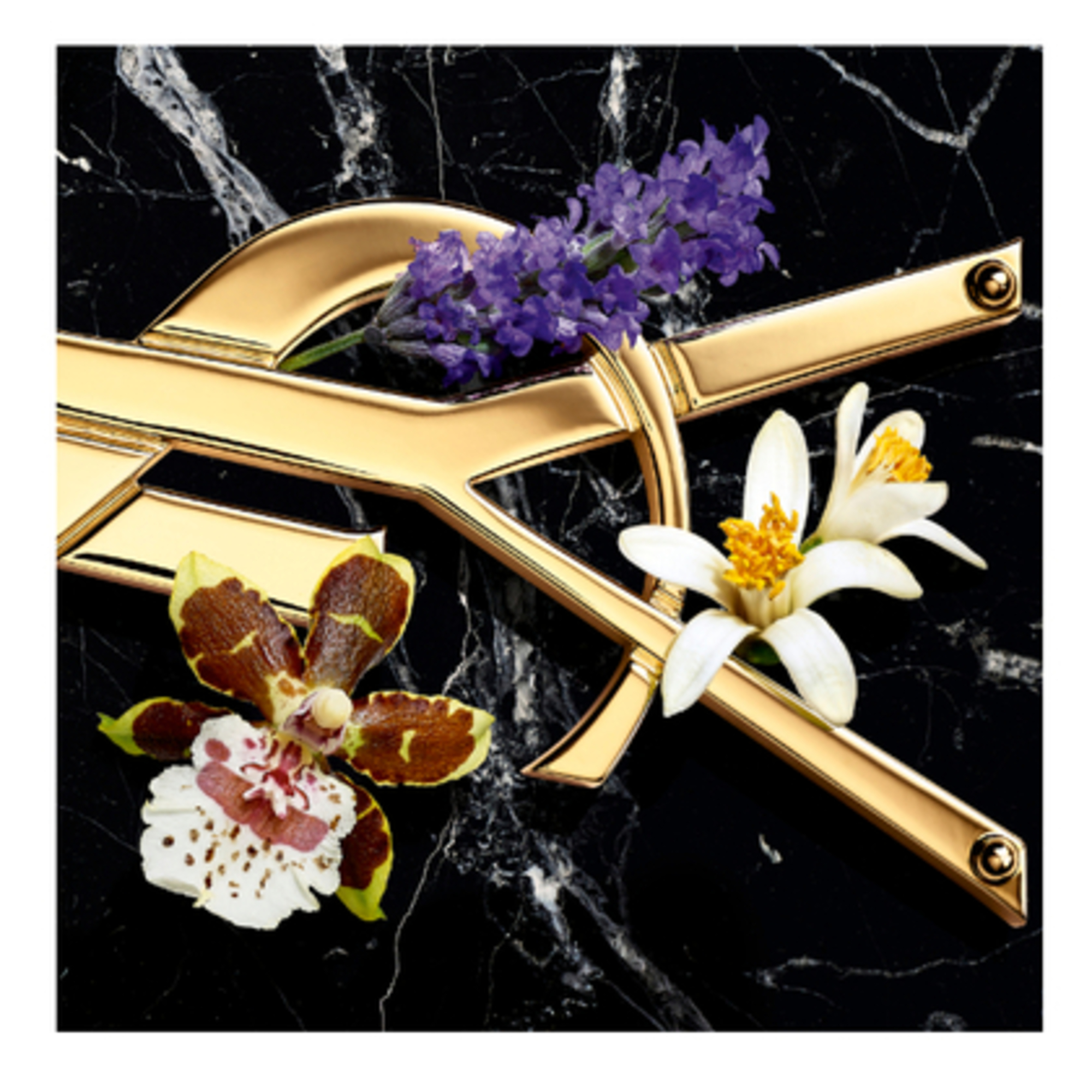 Libre Intense Apa de Parfum