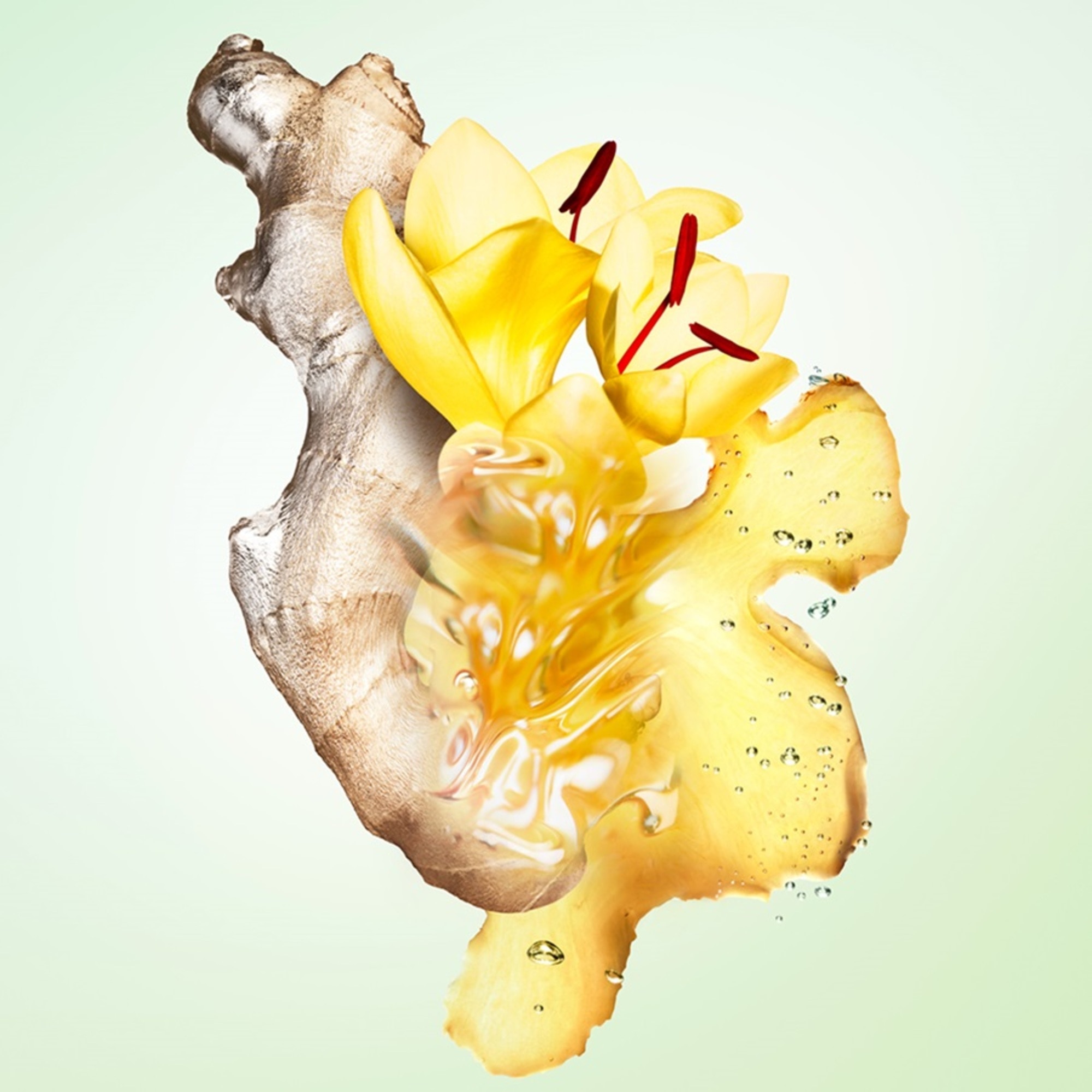 Infusion de Gingembre Apa de Parfum