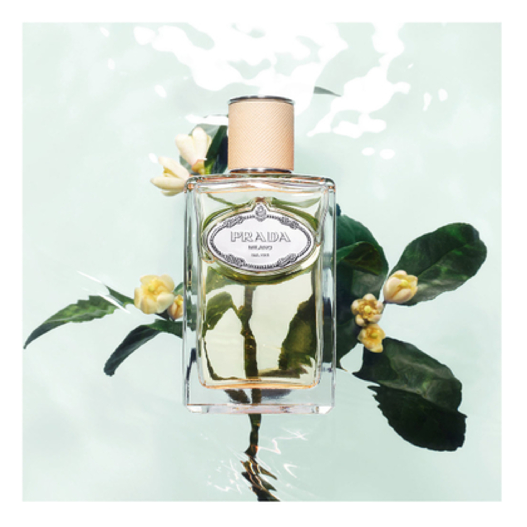 Infusion De Fleur D Orager Apa de Parfum