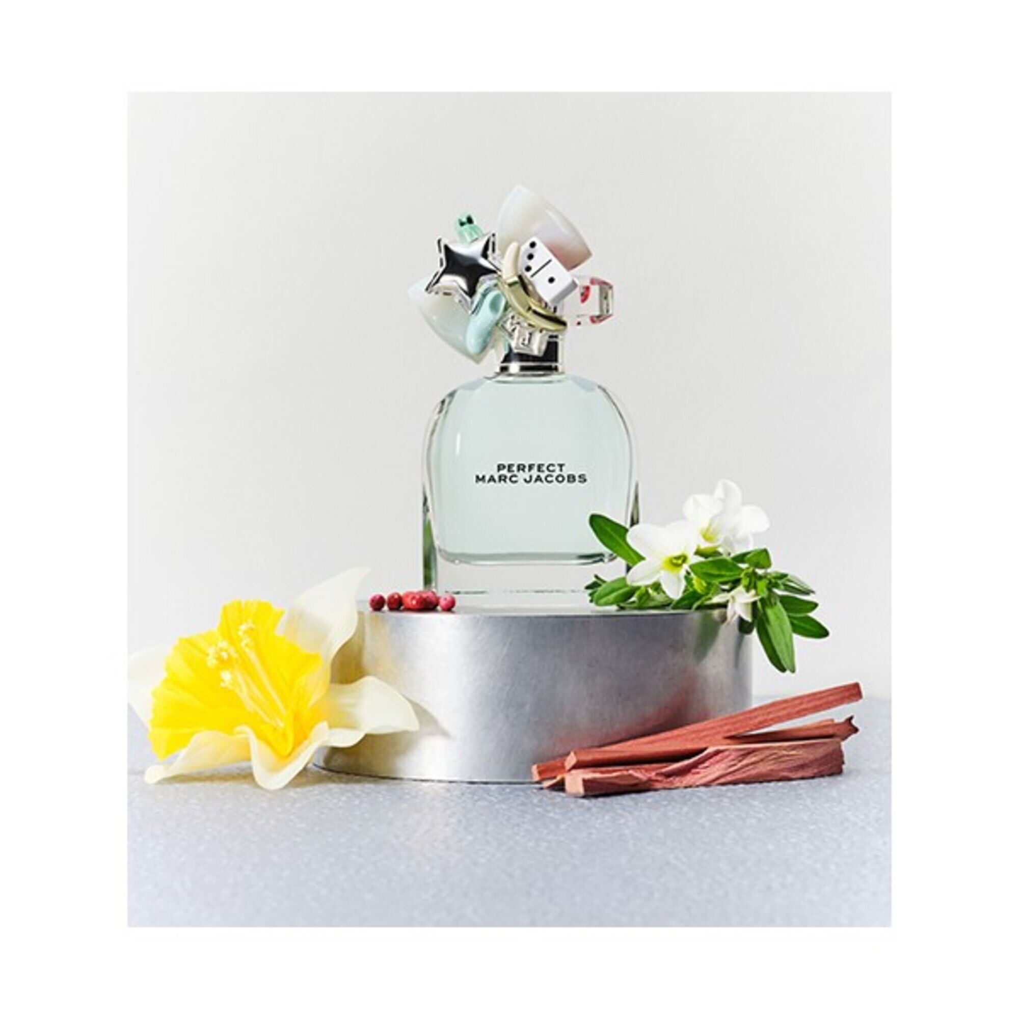 Perfect Apa de Toaleta