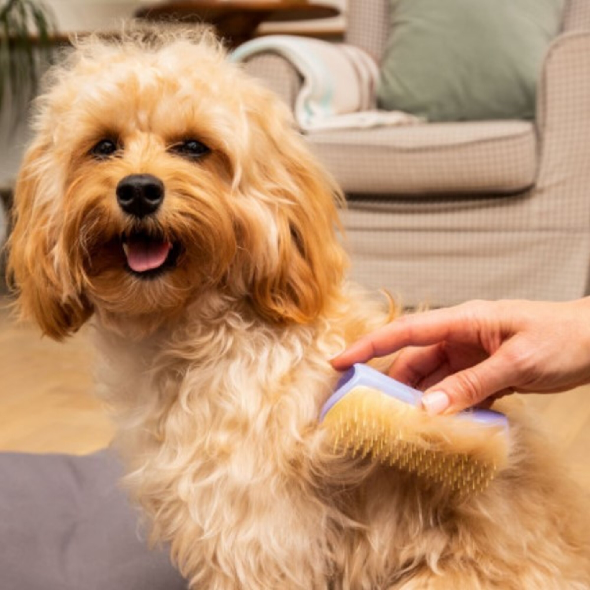 Perie pentru descurcarea blanitei cainilor Detangling Lilac Yellow